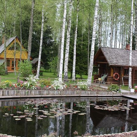 Holiday Home Berzlejas Upesgriva Luaran gambar